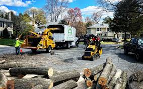 Best Seasonal Cleanup (Spring/Fall)  in Columbia, MD