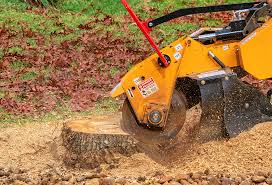 Best Organic Lawn Care Solutions  in Columbia, MD