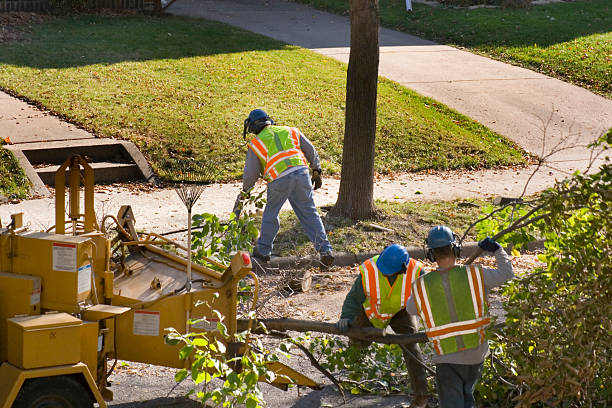 Best Arborist Consultation Services  in Columbia, MD