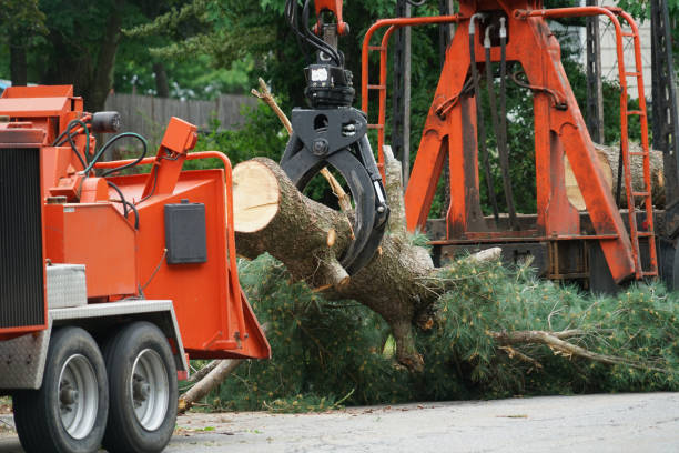 Best Lawn Drainage Solutions  in Columbia, MD